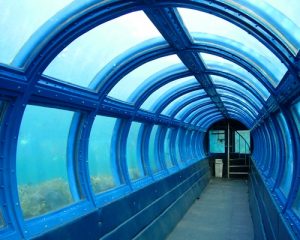 Pulau Putri Resort - Undersea Aquarium