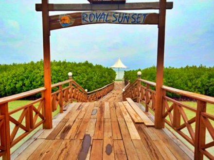 Pulau Royal Tour - Mangrove Bridge